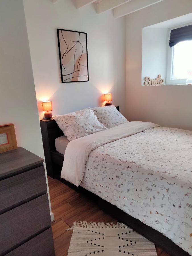 Gite 3 Chambres En Bord De Rance La Ville-ès-Nonais 外观 照片